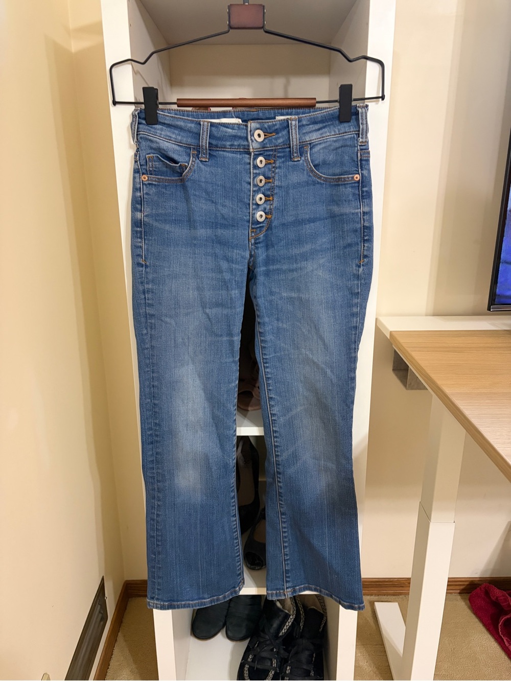 Anthropologie Pilcro high rise Flare Jeans| size 25